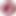 slave_ham