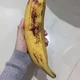 draculapipap