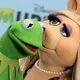 kermit77