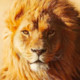 manlov0009