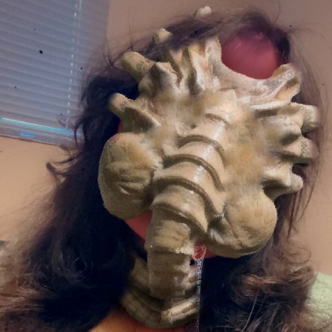 MarieWithFacehuggers