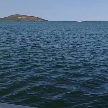 kenitri40