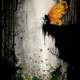 Mysterious_butterfly