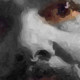 skull24777