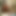 11inchblackcock