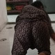 Sagar3467