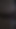 beanblack1