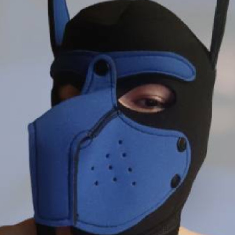 dogpoland22