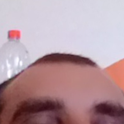 plvid761