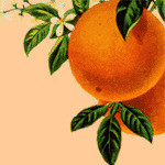 texasorange