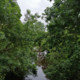 Pharamond31