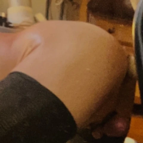 Shaggnastee