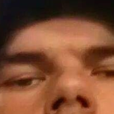 Bush84