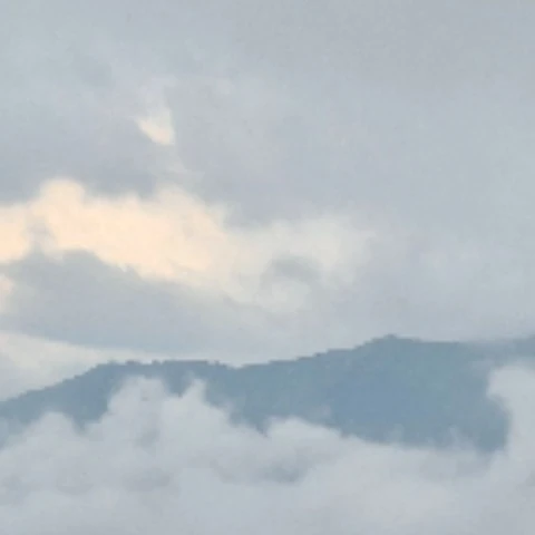 carnykot0909