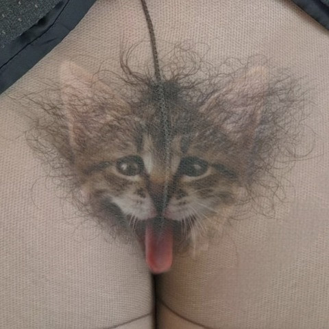 Muschi-Freund