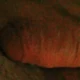 Shawn78520