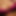 PunjabiSpice121