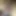 Rajkumarbigblackcock