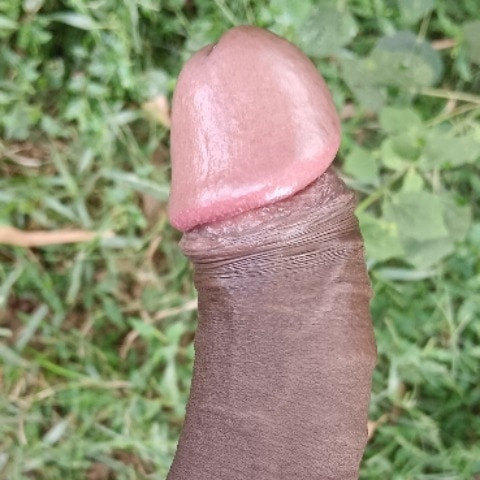 XGrowth69