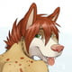 AussieDingo
