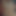 odarden