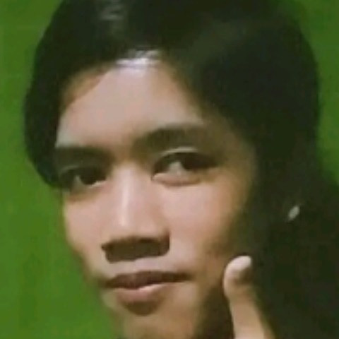 Irdus