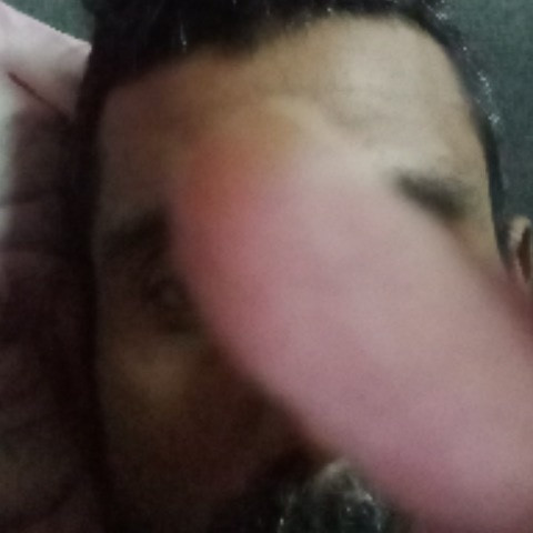 MotionlessTerm3