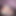 VisualLeaf5
