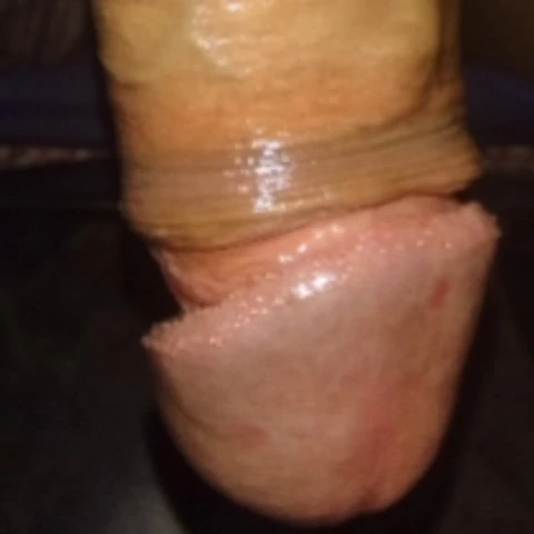 Fuufyu1992
