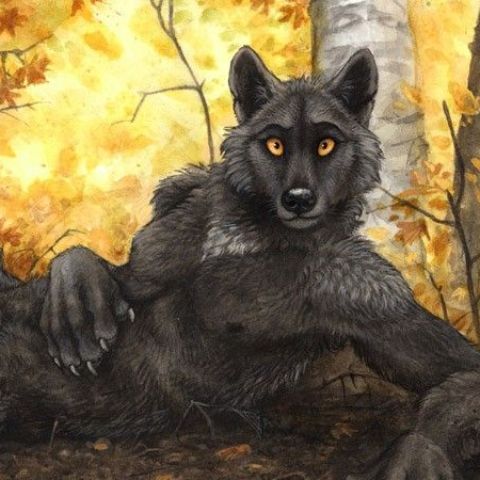 lukethewolf