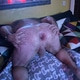 Petercbb