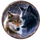 Kaiwolf907