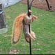 douglasschimit2