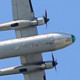 baerchen447