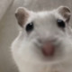 Joeyless3