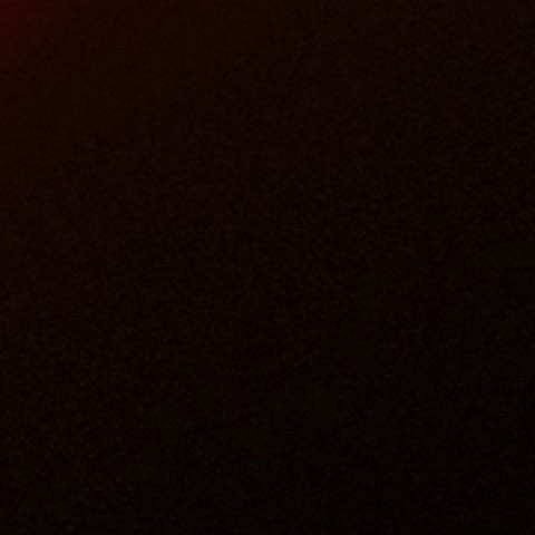 RaniBihari406
