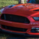 BlkCobra2020