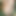 Greendarkchan42