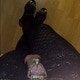 kiki_cd