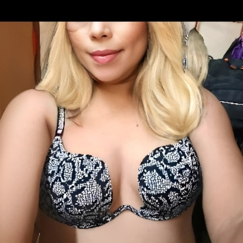 Shamel788