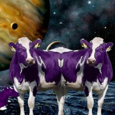 Purplespacecows