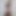 andrea_crossaire