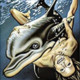 Dolphingirl1968