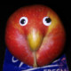 bokkerijder77