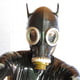 latex_cat