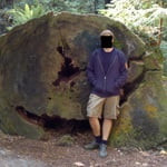 Streuner_X