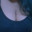 twinning_melons