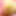 lcup_hugetits