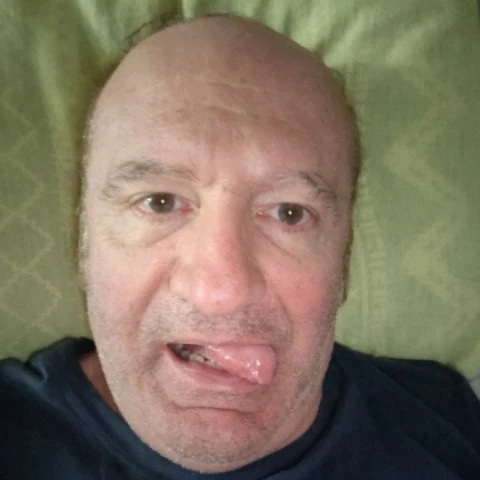 Piggypornslave