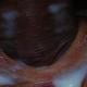 darque13